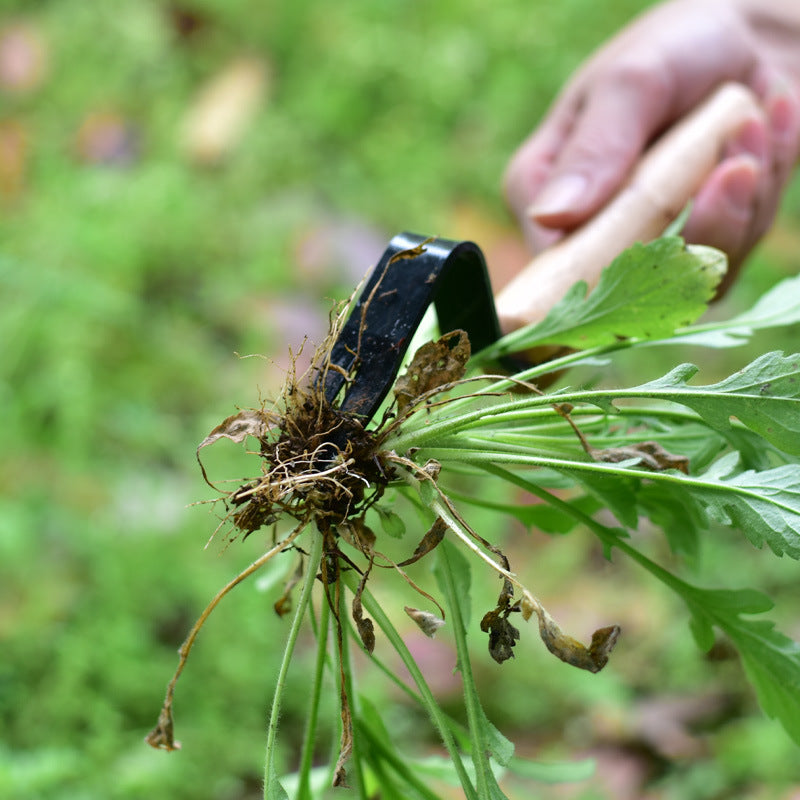 Weeding And Seedling Rooting Device